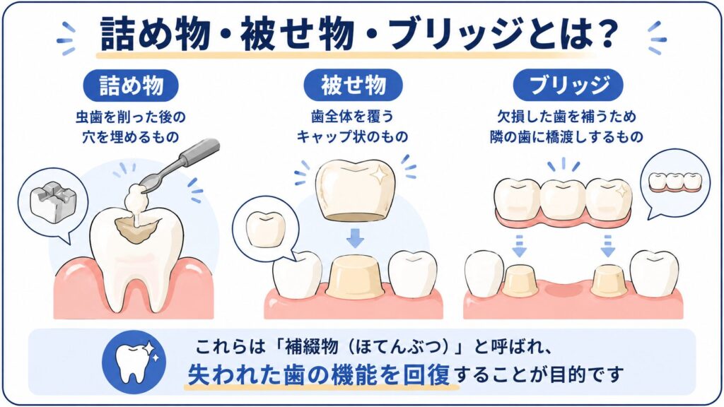 補綴物が失った歯の機能を補うことを示した図解